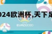 天下足球2024欧洲杯,天下足球欧洲杯2020