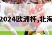 北海银滩2024欧洲杯,北海银滩的球