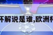 法国欧洲杯解说是谁,欧洲杯法国分组