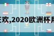 欧洲杯狂欢,2020欧洲杯用球 狂欢