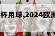 2024欧洲杯用球,2024欧洲杯球场改造