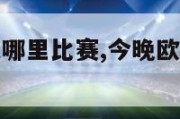 今晚欧洲杯是哪里比赛,今晚欧洲杯的比赛时间