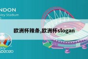 欧洲杯辣条,欧洲杯slogan