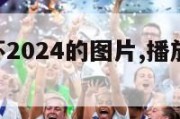 播放欧洲杯2024的图片,播放欧洲杯2021