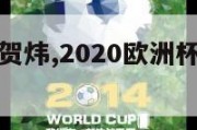 欧洲杯决赛贺炜,2020欧洲杯贺炜解说场次