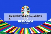 挪威进欧洲杯了吗,挪威进2020欧洲杯了吗