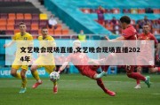 文艺晚会现场直播,文艺晚会现场直播2024年